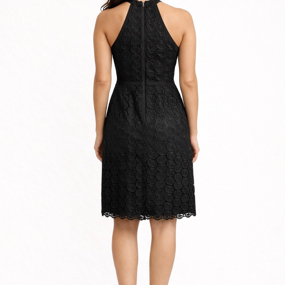 Adrianna Papell Black Lace Halter Cocktail Dress Size 16 Elegant Evening - Picture 2 of 11
